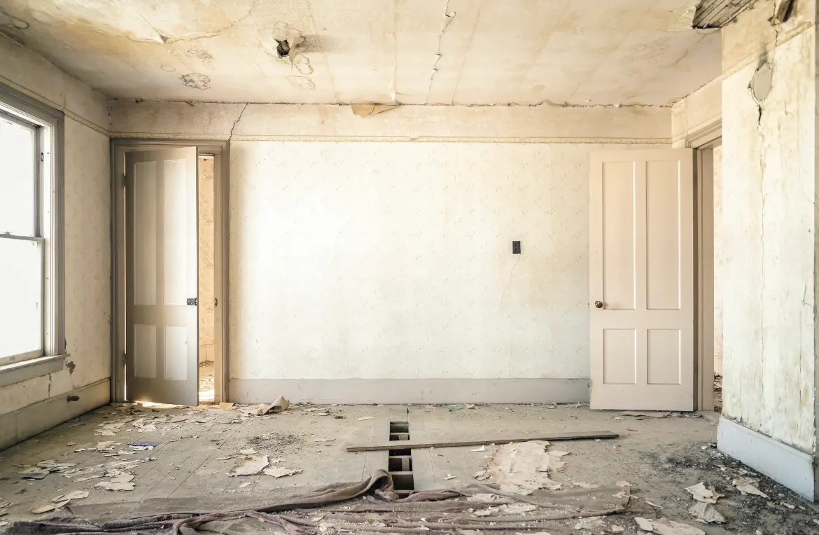 Waste disposal crew managing a cleanout project in Belleville